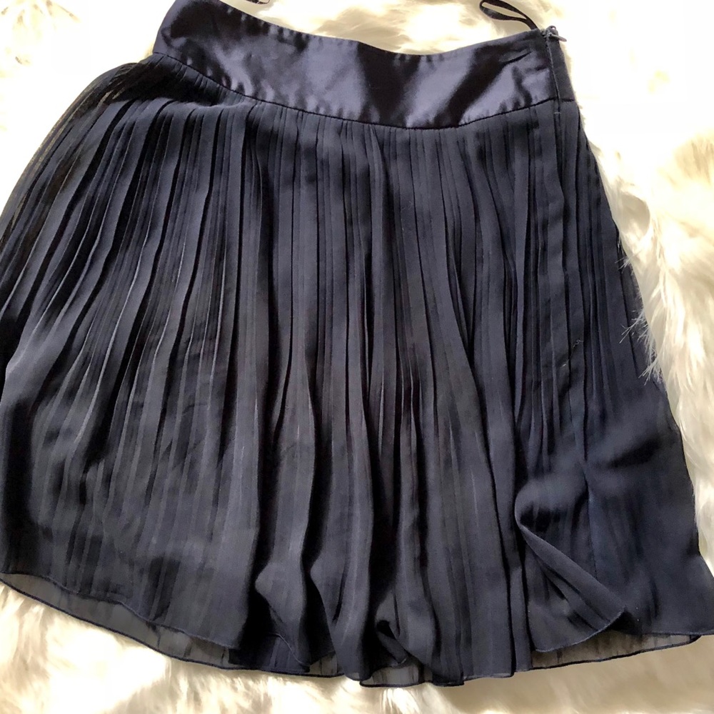 H&M Pleated Navy Skirt